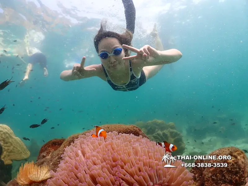 Underwater Odyssey snorkeling tour from Pattaya Thailand photo 18311