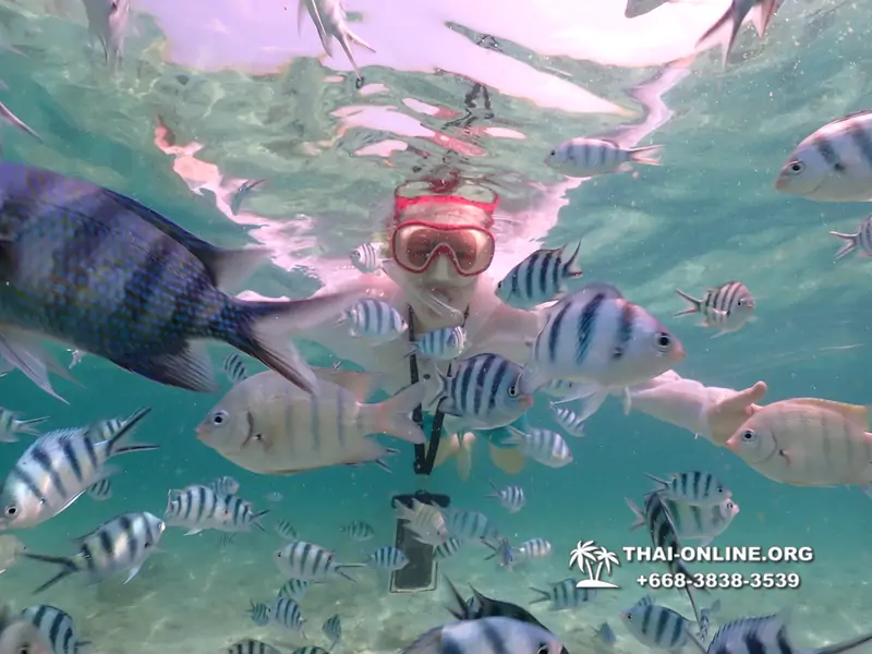 Underwater Odyssey snorkeling tour from Pattaya Thailand photo 18269