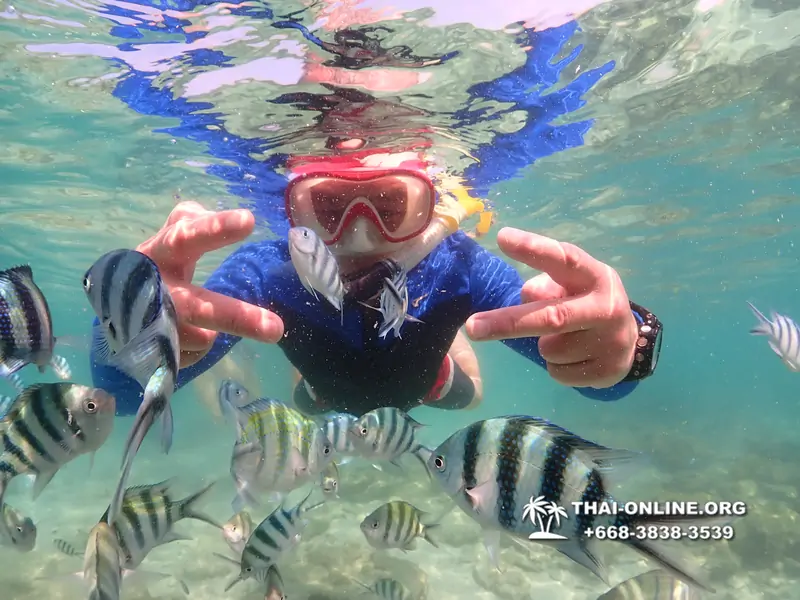 Underwater Odyssey snorkeling excursion Pattaya Thailand photo 14737