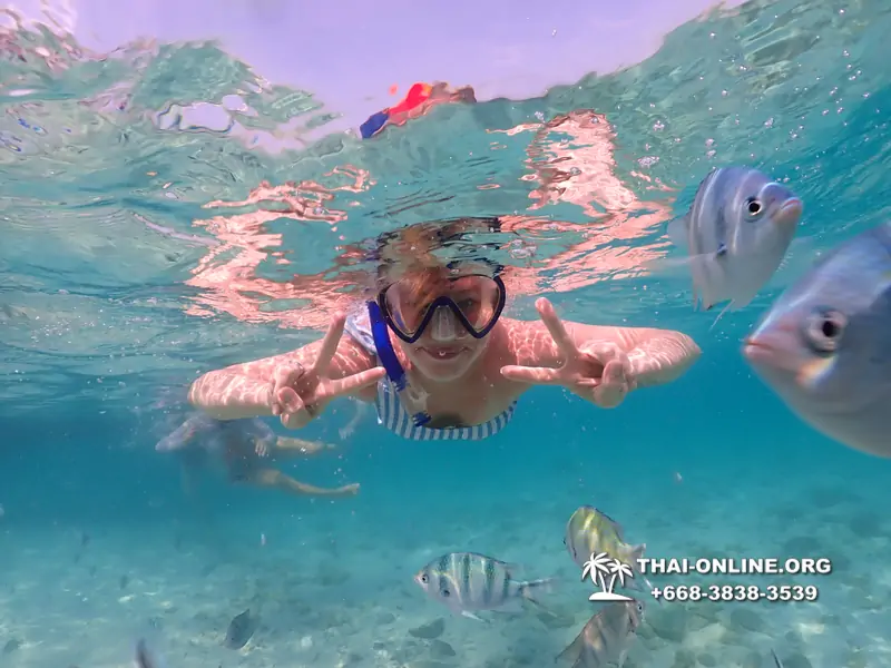 Underwater Odyssey snorkeling excursion Pattaya Thailand photo 11009