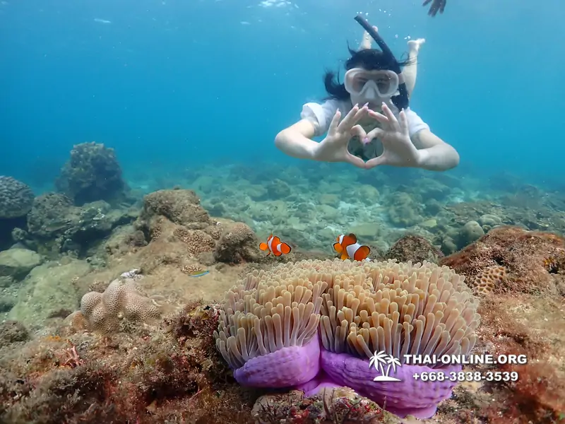 Underwater Odyssey snorkeling excursion Pattaya Thailand photo 11401