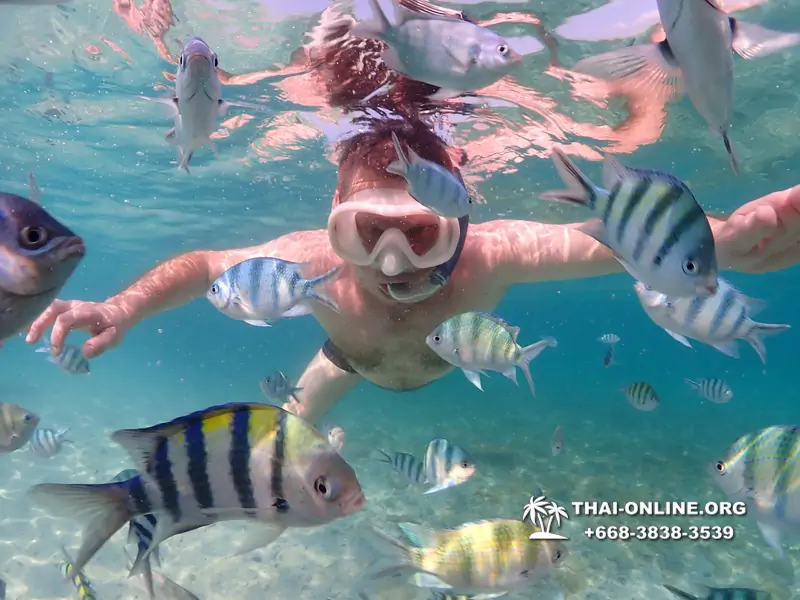 Underwater Odyssey snorkeling excursion Pattaya Thailand photo 11194