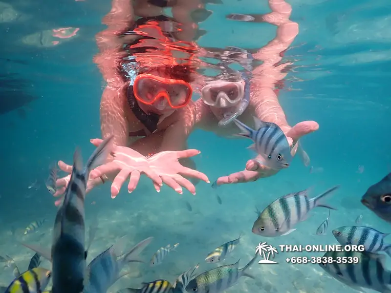 Underwater Odyssey snorkeling tour from Pattaya Thailand photo 14487