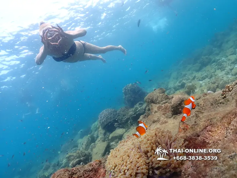 Underwater Odyssey snorkeling excursion Pattaya Thailand photo 11437