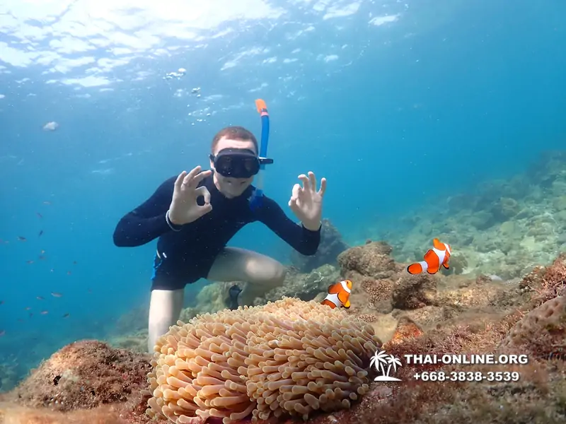 Underwater Odyssey snorkeling excursion Pattaya Thailand photo 11383
