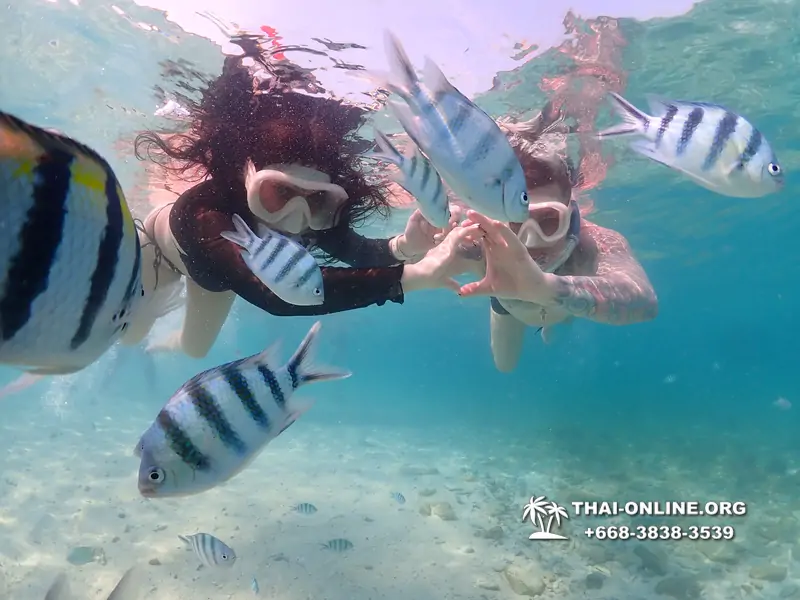 Underwater Odyssey snorkeling excursion Pattaya Thailand photo 11195