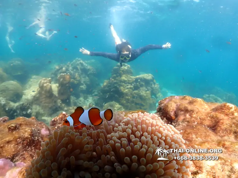 Underwater Odyssey snorkeling tour from Pattaya Thailand photo 14176