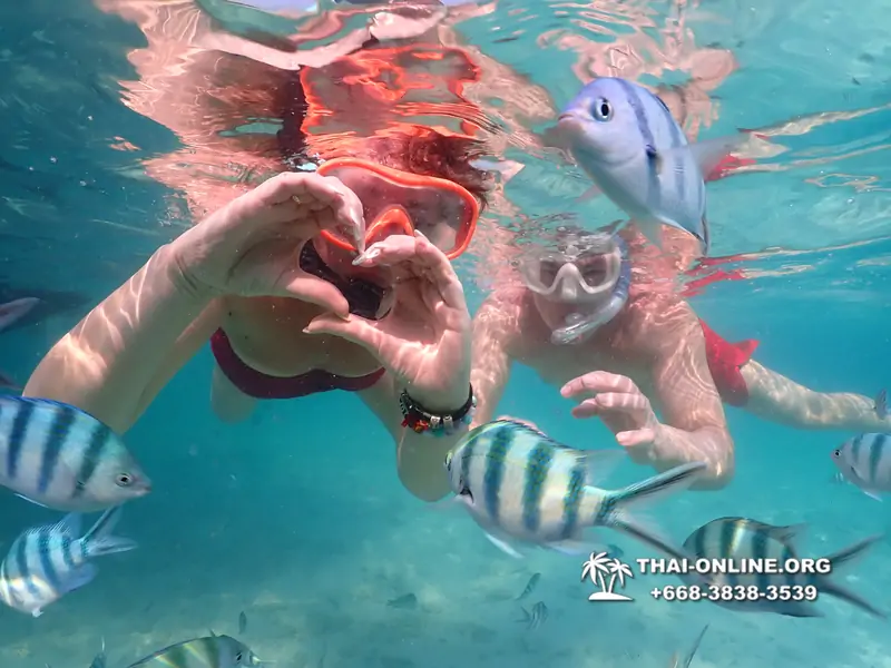 Underwater Odyssey snorkeling tour from Pattaya Thailand photo 14254