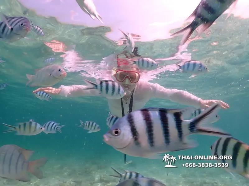 Underwater Odyssey snorkeling tour from Pattaya Thailand photo 18474