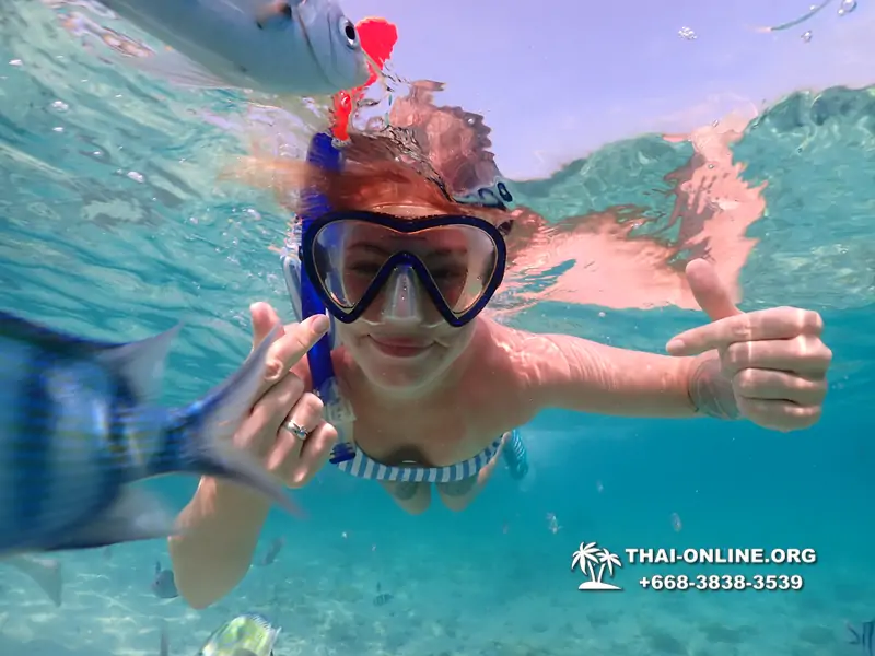 Underwater Odyssey snorkeling excursion Pattaya Thailand photo 11015