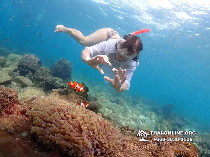 Underwater Odyssey snorkeling excursion Pattaya Thailand photo 11393
