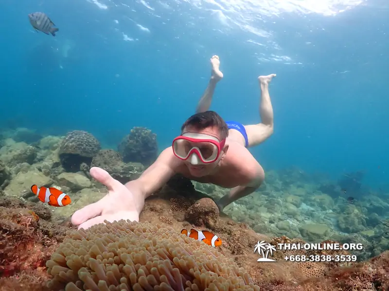 Underwater Odyssey snorkeling excursion Pattaya Thailand photo 11422