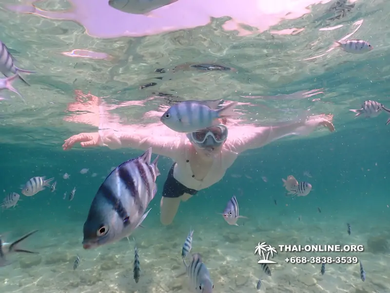 Underwater Odyssey snorkeling tour from Pattaya Thailand photo 18398