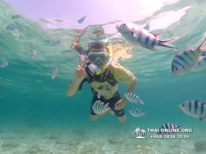 Underwater Odyssey snorkeling tour from Pattaya Thailand photo 18780