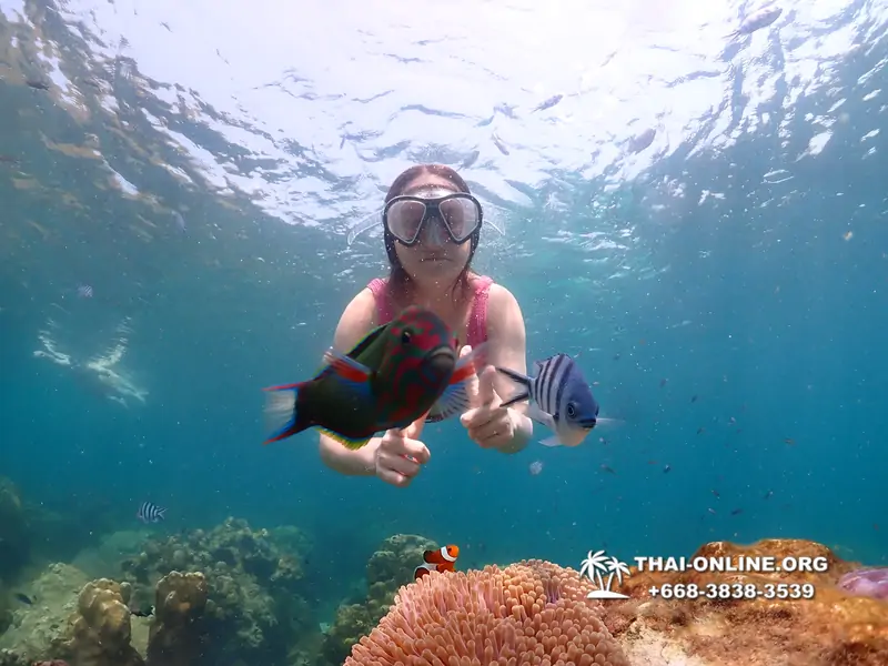 Underwater Odyssey snorkeling tour from Pattaya Thailand photo 14177