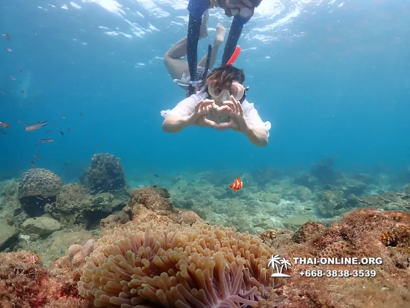 Underwater Odyssey snorkeling excursion Pattaya Thailand photo 11388