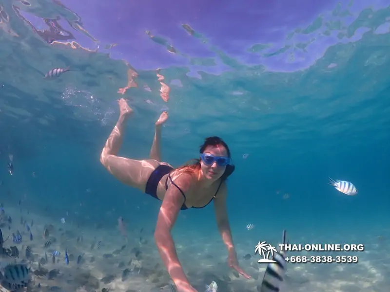 Underwater Odyssey snorkeling tour from Pattaya Thailand photo 10839