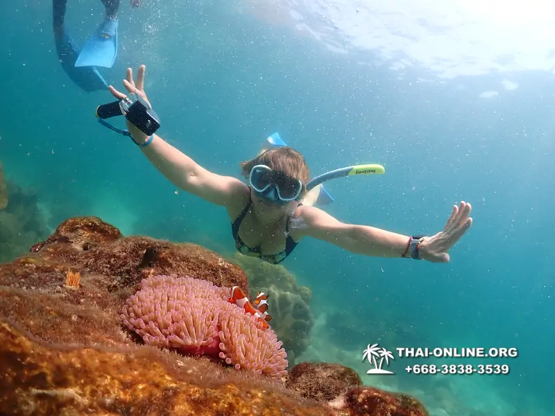 Underwater Odyssey snorkeling excursion Pattaya Thailand photo 14886