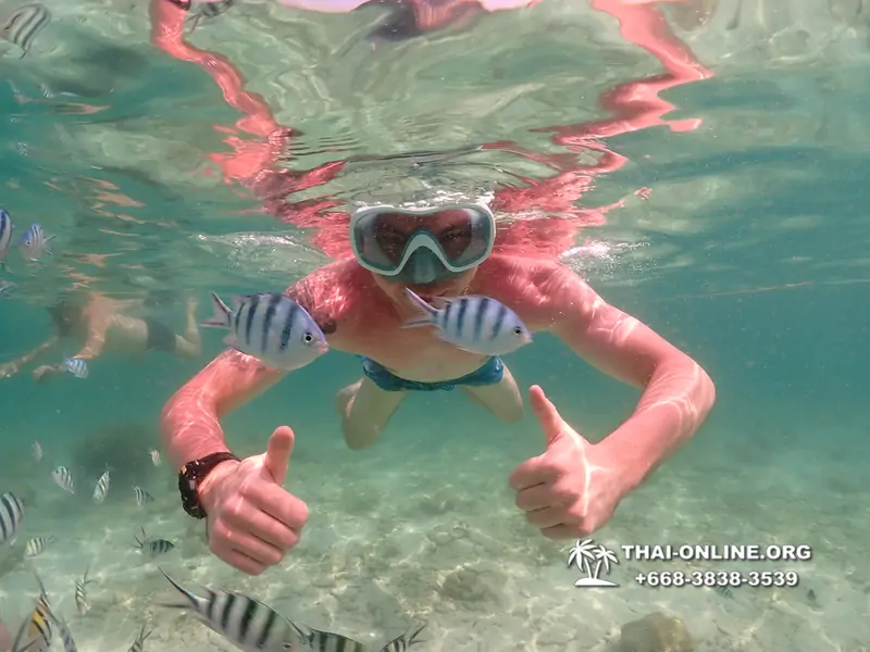 Underwater Odyssey snorkeling tour from Pattaya Thailand photo 18317