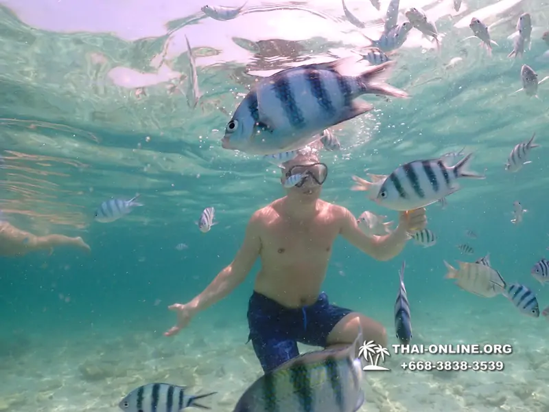 Underwater Odyssey snorkeling tour from Pattaya Thailand photo 18423