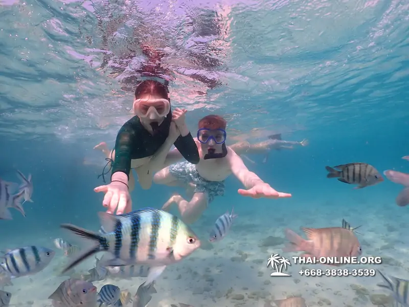 Underwater Odyssey snorkeling excursion Pattaya Thailand photo 11105