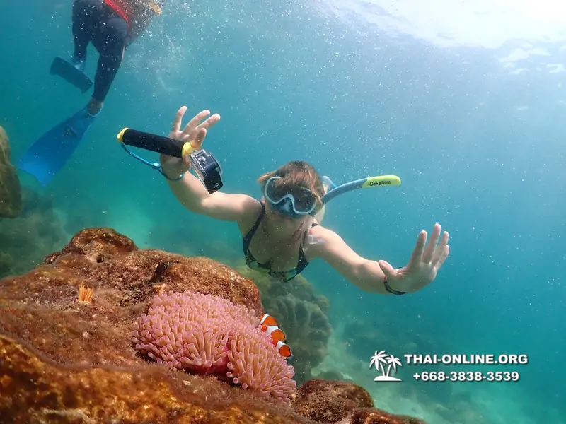 Underwater Odyssey snorkeling excursion Pattaya Thailand photo 14817