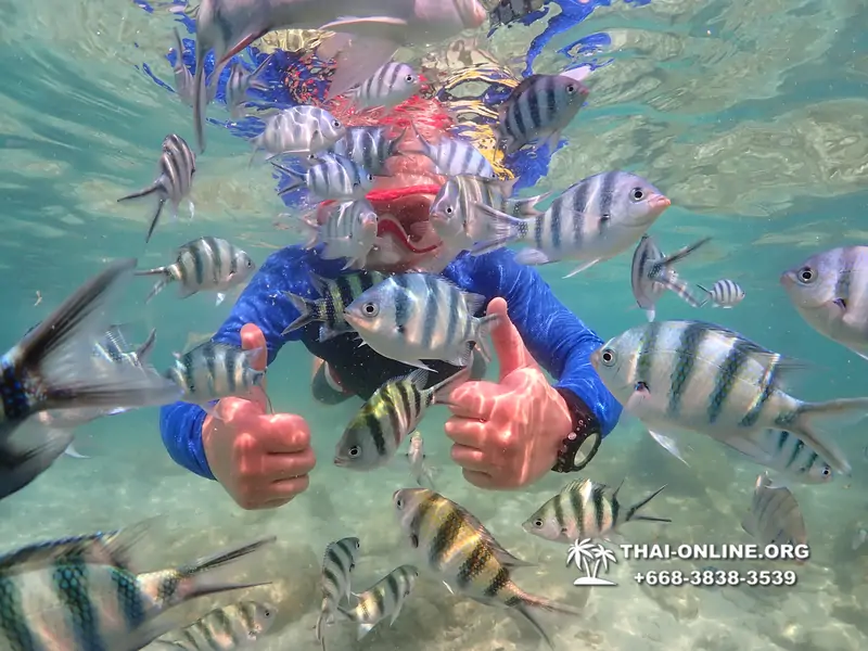 Underwater Odyssey snorkeling excursion Pattaya Thailand photo 14722