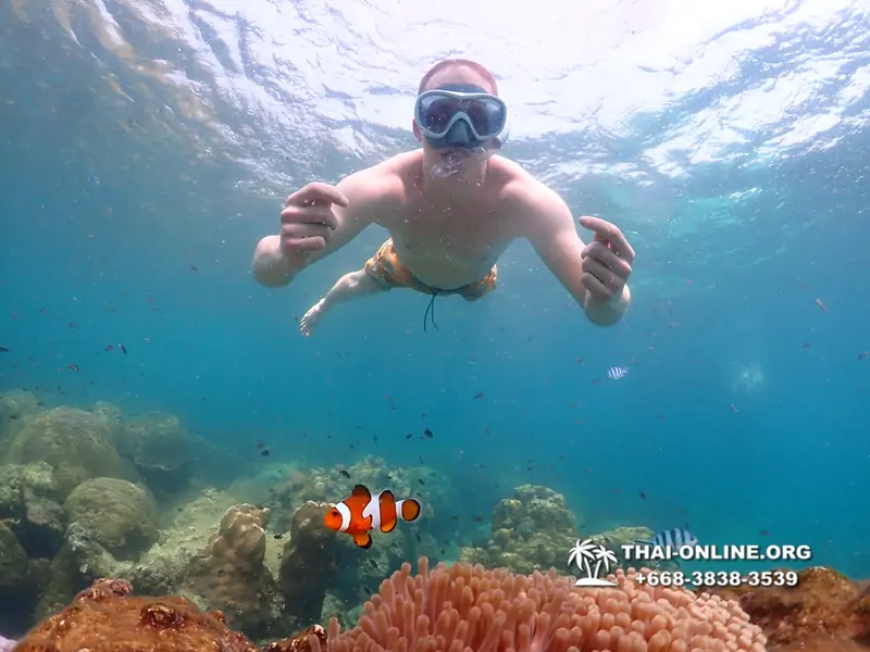 Underwater Odyssey snorkeling tour from Pattaya Thailand photo 14388