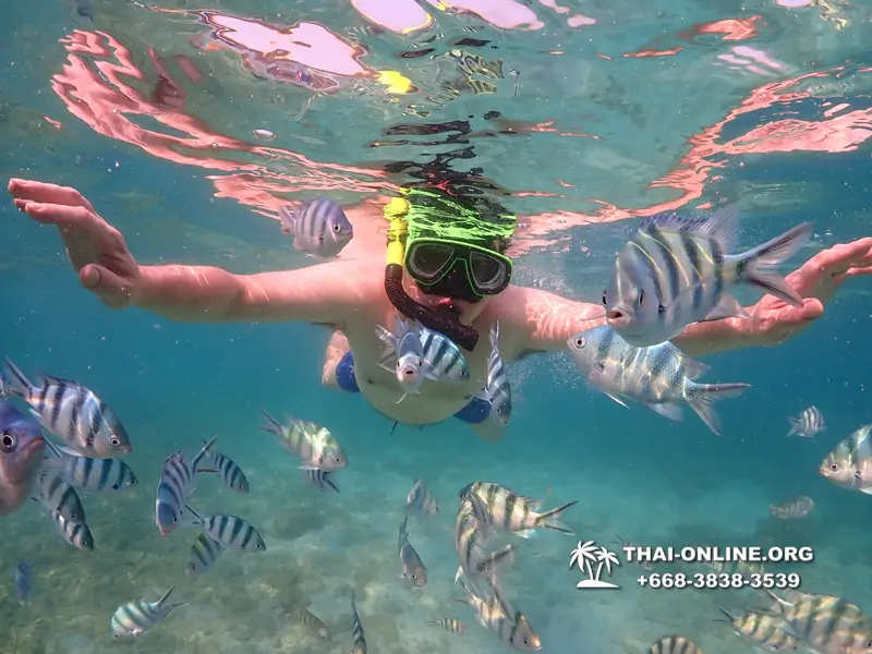 Underwater Odyssey snorkeling excursion Pattaya Thailand photo 11582