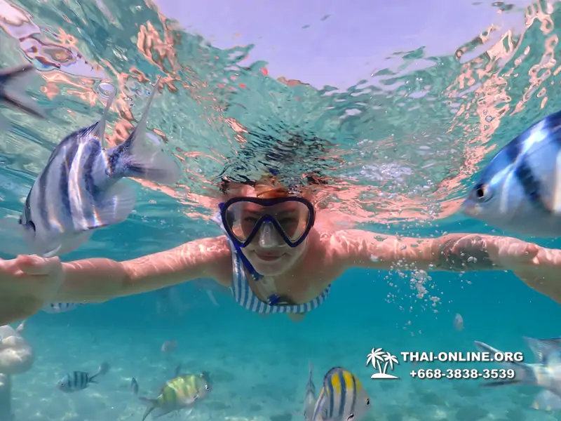 Underwater Odyssey snorkeling excursion Pattaya Thailand photo 11013
