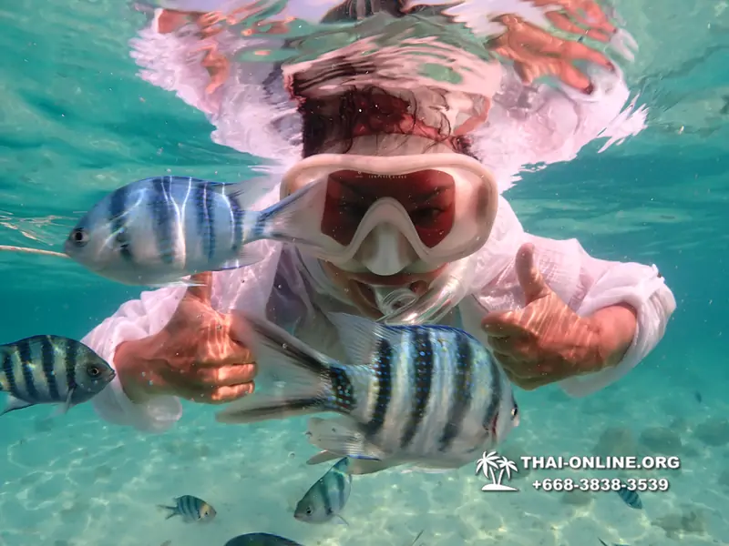 Underwater Odyssey snorkeling tour from Pattaya Thailand photo 14260