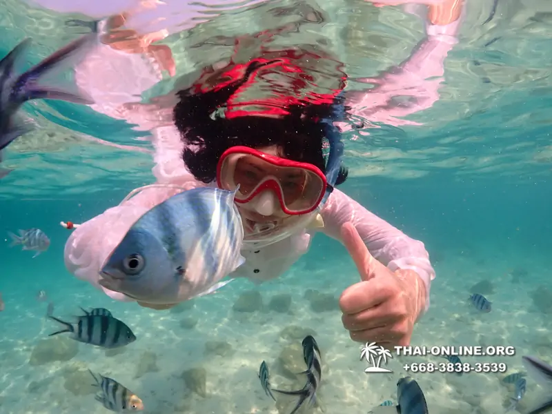 Underwater Odyssey snorkeling tour from Pattaya Thailand photo 14304