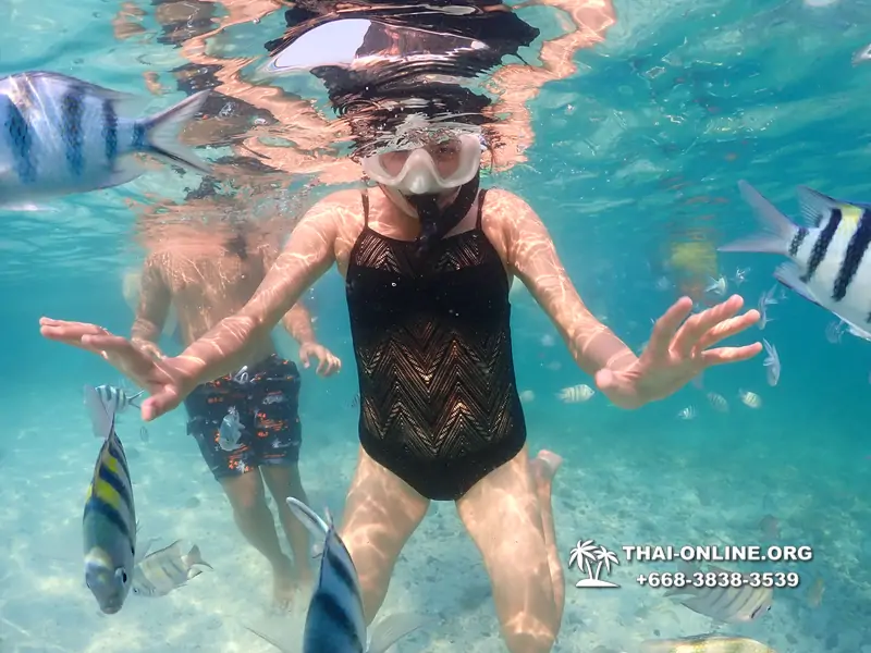 Underwater Odyssey snorkeling excursion Pattaya Thailand photo 11559