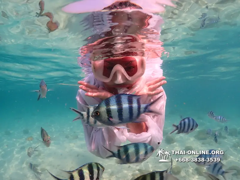 Underwater Odyssey snorkeling tour from Pattaya Thailand photo 14439