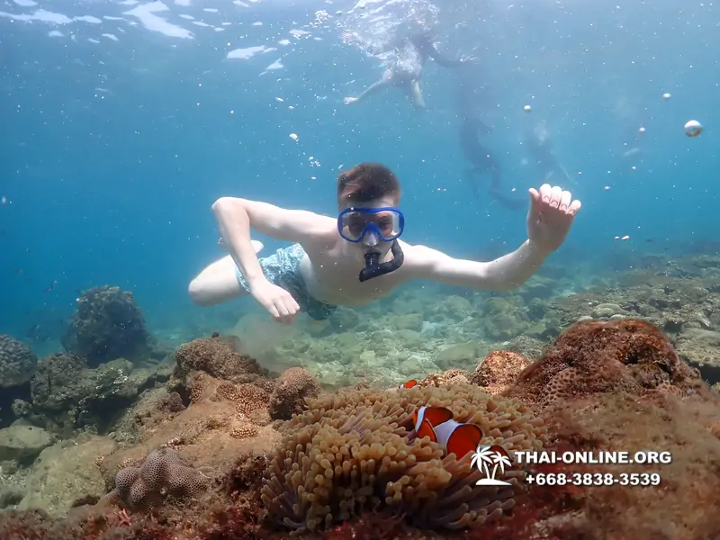 Underwater Odyssey snorkeling excursion Pattaya Thailand photo 11331
