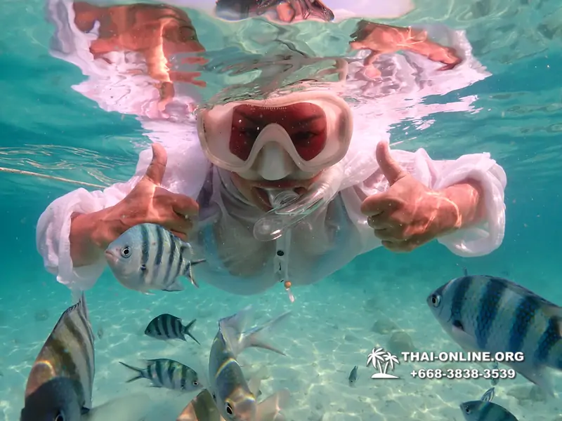 Underwater Odyssey snorkeling tour from Pattaya Thailand photo 14179