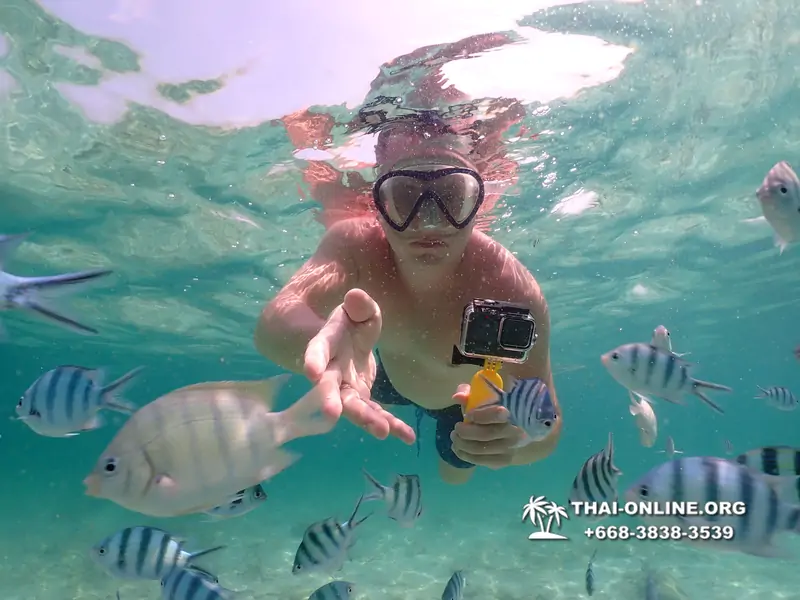 Underwater Odyssey snorkeling tour from Pattaya Thailand photo 18280