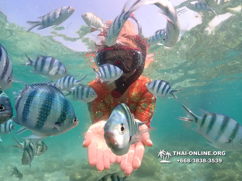 Underwater Odyssey snorkeling excursion Pattaya Thailand photo 14818