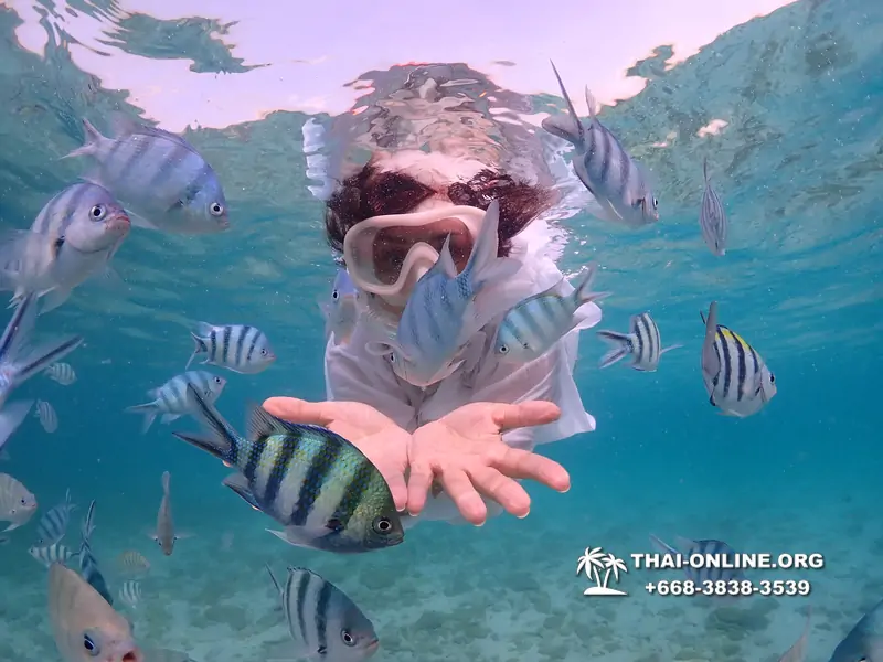 Underwater Odyssey snorkeling excursion Pattaya Thailand photo 11157