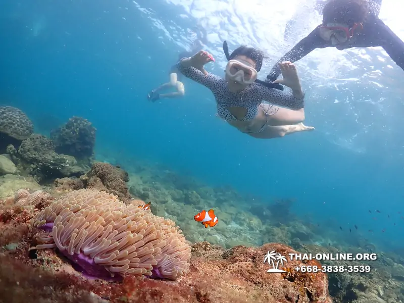 Underwater Odyssey snorkeling excursion Pattaya Thailand photo 11358