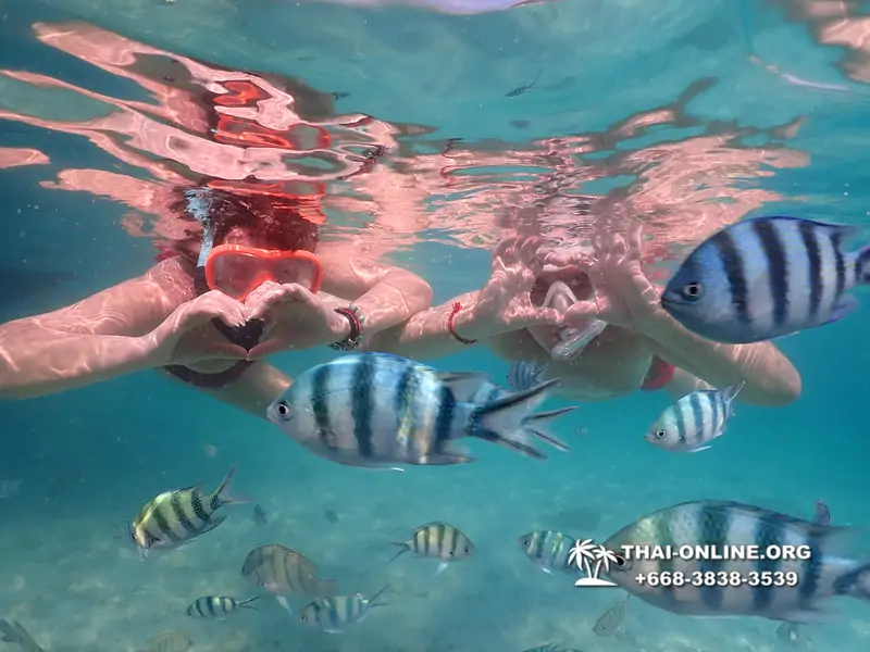 Underwater Odyssey snorkeling tour from Pattaya Thailand photo 14293