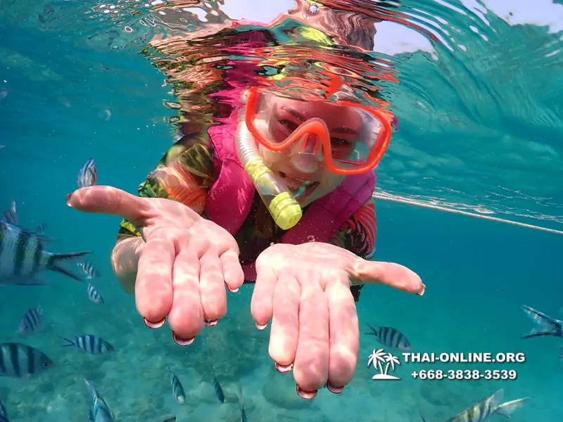 Underwater Odyssey snorkeling excursion Pattaya Thailand photo 11560