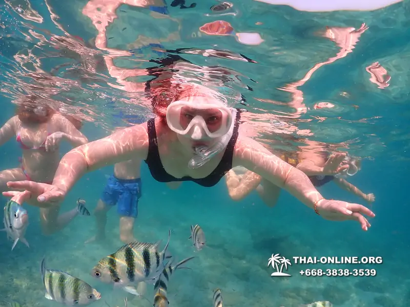 Underwater Odyssey snorkeling excursion Pattaya Thailand photo 11585