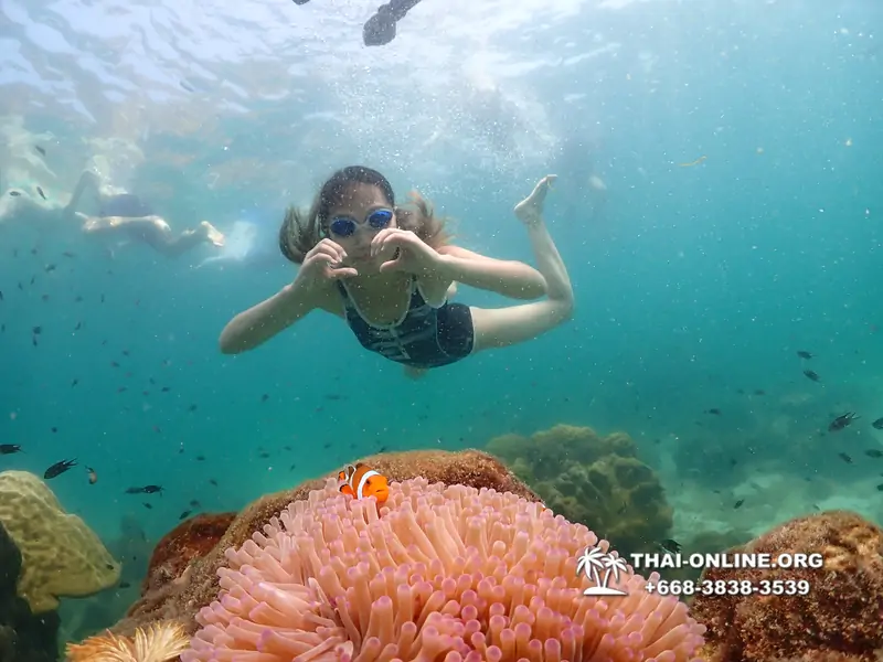 Underwater Odyssey snorkeling tour from Pattaya Thailand photo 18276