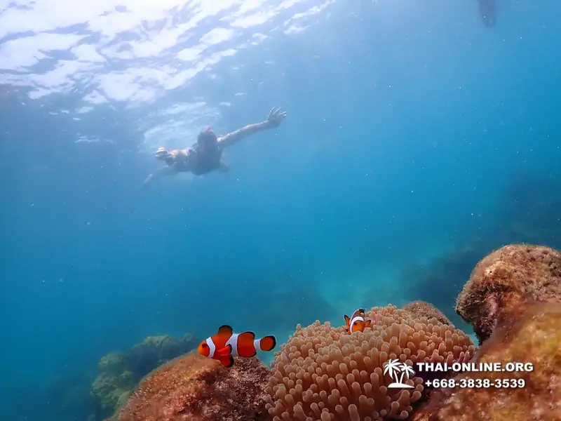Underwater Odyssey snorkeling excursion in Pattaya Thailand photo 1027