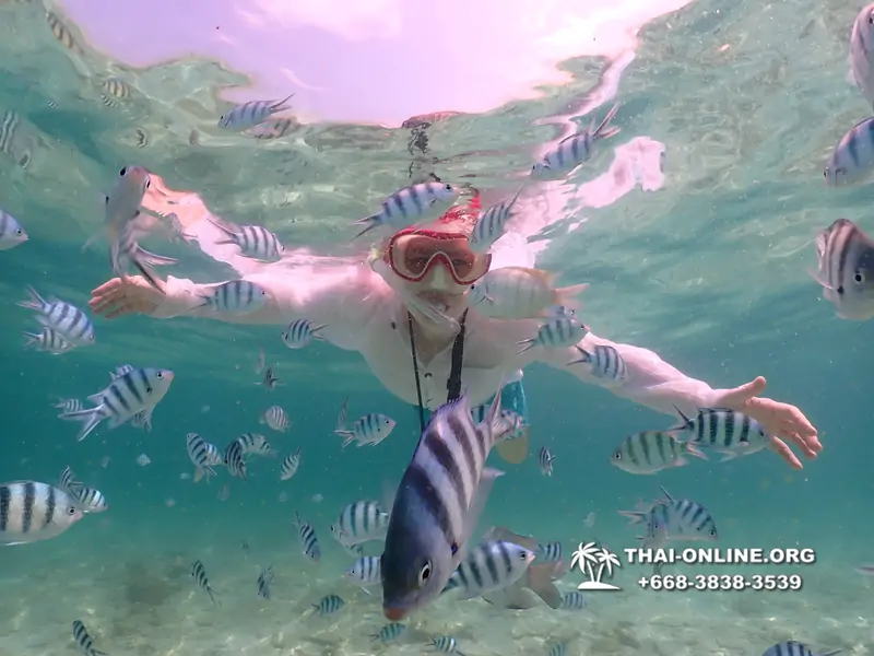 Underwater Odyssey snorkeling tour from Pattaya Thailand photo 18414