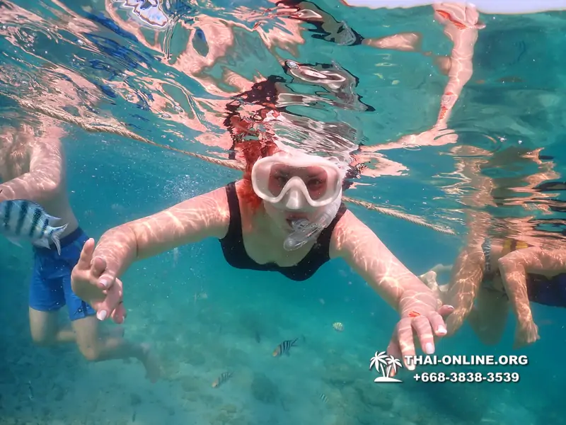 Underwater Odyssey snorkeling excursion Pattaya Thailand photo 11525