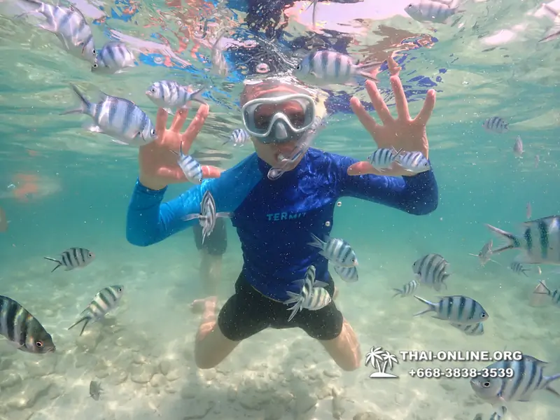 Underwater Odyssey snorkeling excursion Pattaya Thailand photo 14849