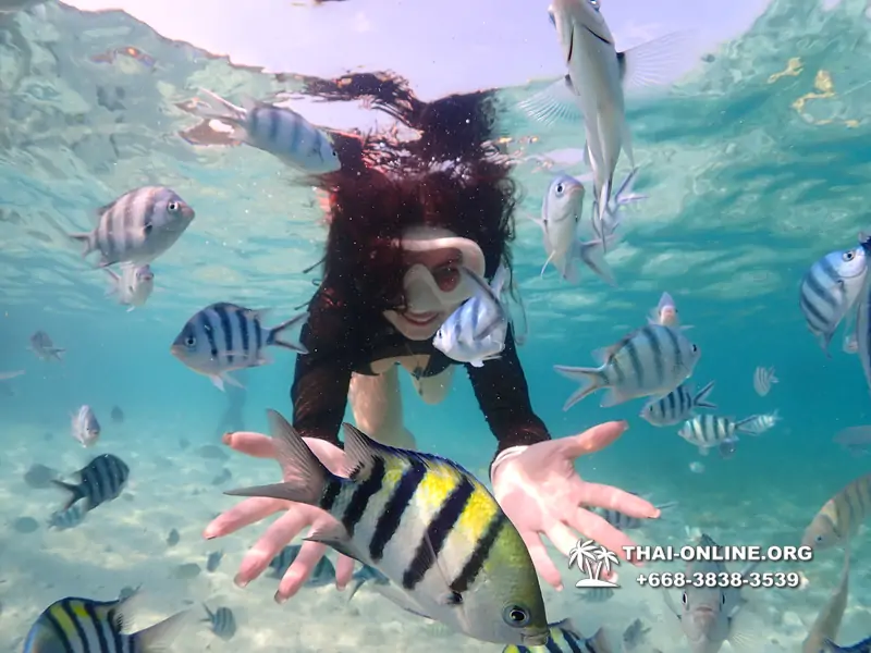 Underwater Odyssey snorkeling excursion Pattaya Thailand photo 11217