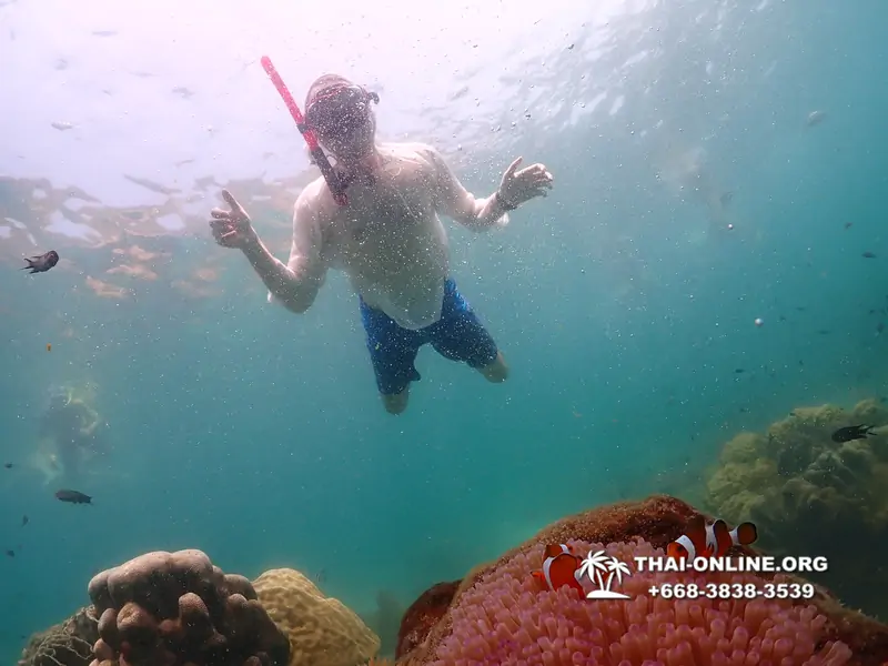 Underwater Odyssey snorkeling tour from Pattaya Thailand photo 18690
